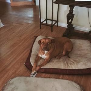 Meet your Posher, Teresa